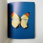 Damien Hirst, Way to Understand (from 'The Currency'), 2016