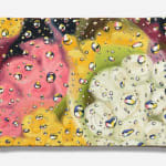 Tommy Fitzpatrick, Tunnel Vision, 2024