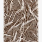 Carl Suddath, jest, a neath the cairn, 2006