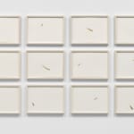 Erika Blumenfeld, Light Recordings: Dawn, Midday, Dusk, 2008