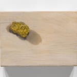 Charis Ammon, Gold Nugget Still Life, 2021