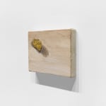 Charis Ammon, Gold Nugget Still Life, 2021