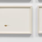 Erika Blumenfeld, Light Recordings: Dawn, Midday, Dusk, 2008