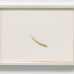 Erika Blumenfeld, Light Recordings: Dawn, Midday, Dusk, 2008
