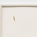 Erika Blumenfeld, Light Recordings: Dawn, Midday, Dusk, 2008