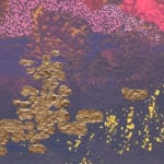 Darren Waterston, Soft Sounds no. 1, 2002