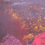 Darren Waterston, Soft Sounds no. 1, 2002
