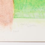 Dorothy Antoinette (Toni) LaSelle, Blur Can Be A Form of Clear, 1965/1974
