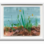Kristin Musgnug, Study for Water Hyacinths #2, 2009