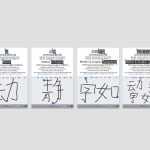 SKIN ORDER, THE END DESIGN / The Mainland