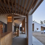 Tree says 「 」 / Japan, Hakuten Co., Ltd. / Japan