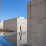 Tree says 「 」 / Japan, Hakuten Co., Ltd. / Japan