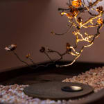 Lee Annie / Young Design Talent Special Mention Award 2023