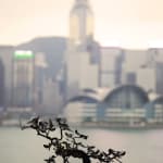 Lee Annie / Young Design Talent Special Mention Award 2023