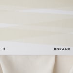 JMGO P5, SHENZHEN HOLATEK Co., Ltd. / The Mainland