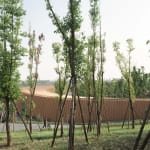 Playground of Possibilities / Singapore, BLACK / Singapore