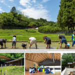 Playground of Possibilities / Singapore, BLACK / Singapore