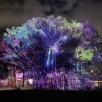 Playground of Possibilities / Singapore, BLACK / Singapore