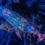 USEYA ADVANCED INDUSTRY(Digital Workshop with Spatial Computing & AI), USEYA Corporation / Japan
