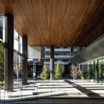 Playground of Possibilities / Singapore, BLACK / Singapore