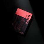 Alvin Liu Shing Kai / Young Design Talent Special Mention Award 2024