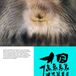 Alvin Liu Shing Kai / Young Design Talent Special Mention Award 2024