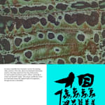 Alvin Liu Shing Kai / Young Design Talent Special Mention Award 2024