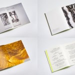 Alvin Liu Shing Kai / Young Design Talent Special Mention Award 2024