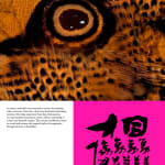 Alvin Liu Shing Kai / Young Design Talent Special Mention Award 2024