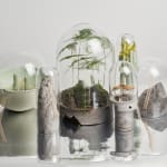 Alvin Liu Shing Kai / Young Design Talent Special Mention Award 2024