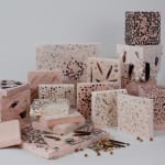 Alvin Liu Shing Kai / Young Design Talent Special Mention Award 2024