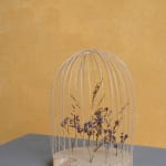 Alvin Liu Shing Kai / Young Design Talent Special Mention Award 2024