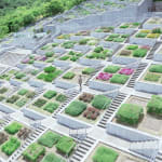 Alvin Liu Shing Kai / Young Design Talent Special Mention Award 2024