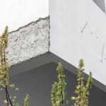 JONGGA KIMCHI BLAST TOKYO, DAESANG / Korea