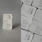 JONGGA KIMCHI BLAST TOKYO, DAESANG / Korea