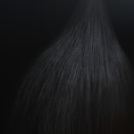 JONGGA KIMCHI BLAST TOKYO, DAESANG / Korea