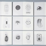 JONGGA KIMCHI BLAST TOKYO, DAESANG / Korea