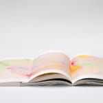 JONGGA KIMCHI BLAST TOKYO, DAESANG / Korea