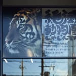 JONGGA KIMCHI BLAST TOKYO, DAESANG / Korea