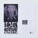 JONGGA KIMCHI BLAST TOKYO, DAESANG / Korea