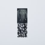 JONGGA KIMCHI BLAST TOKYO, DAESANG / Korea