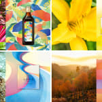 JONGGA KIMCHI BLAST TOKYO, DAESANG / Korea