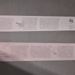 JONGGA KIMCHI BLAST TOKYO, DAESANG / Korea