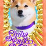 Motion for HK International Poster Triennial, W.H.Y. Brand Consultancy / Hong Kong