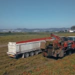 URA: City Walk – Touring Central with Locals 2024, Urban Renewal Authority / Hong Kong