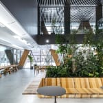 Ancient Future : An Invitation from 2225 / Korea, ECLATHOLDINGS GROUP / Korea