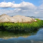 Ancient Future : An Invitation from 2225 / Korea, ECLATHOLDINGS GROUP / Korea