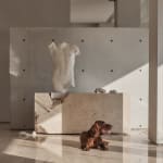 Ancient Future : An Invitation from 2225 / Korea, ECLATHOLDINGS GROUP / Korea