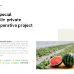 Haman Watermelon Project, HANJIN / Korea