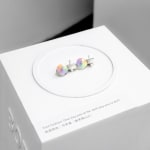 Samson Leung Shek Yen / Young Design Talent Special Mention Award 2020